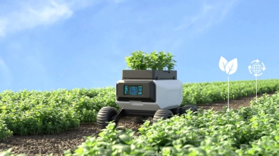 Robot-collaborativi-per-l-agricoltura